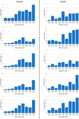 Hemodynamic and Structural Comparison of Human Fetal Heart Development Between Normally Growing and Hypoplastic Left Heart Syndrome-Diagnosed Hearts